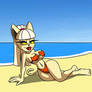 Cat bikini