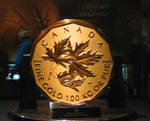 The Million Dollar Coin by JillDragon