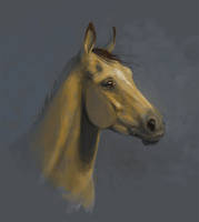 Horse doodle