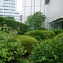 Gardens in Tokyo