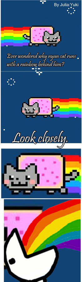 Nyan cat xD (Made by Me!)