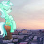 Lyra sitting on Trump Tower