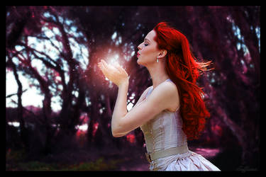 Fairy Photo Manipulation