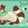 Jack Ref Sheet