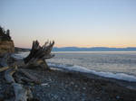 westbeach coastline by shortnsassy