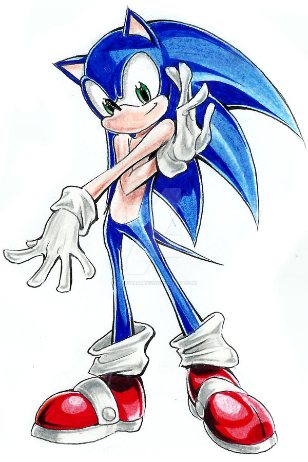 Handly work - Sonic