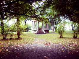 Under the Leaves