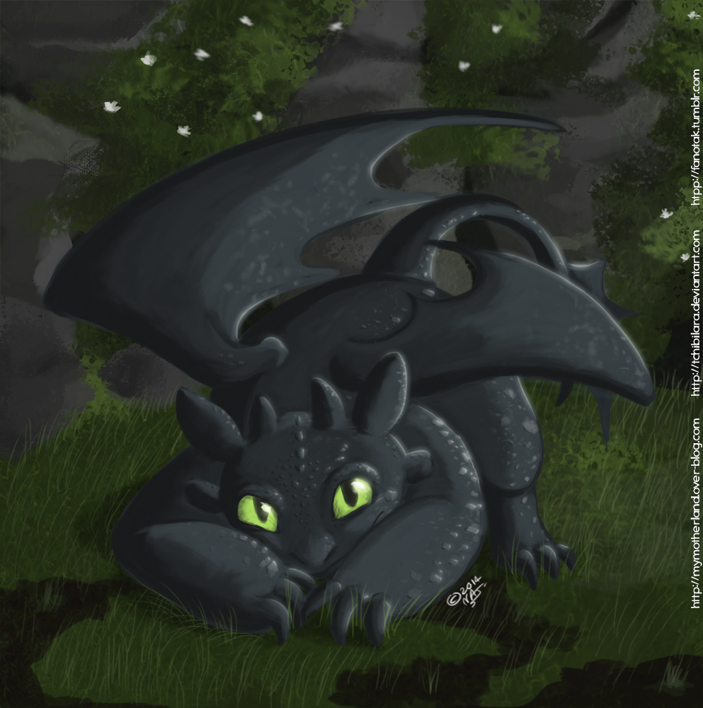 Lil' Toothless