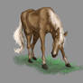 Pintando animais Cavalos 02