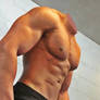 Muscled male torso