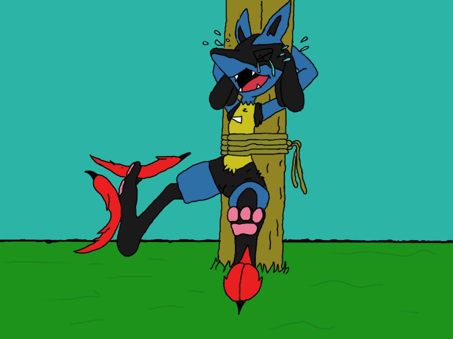 Lucario has ticklish feet..