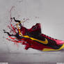 Nike HyperDunk Shoes