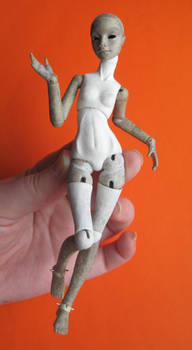 bjd doll WIP