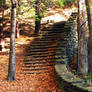 leafy stairs