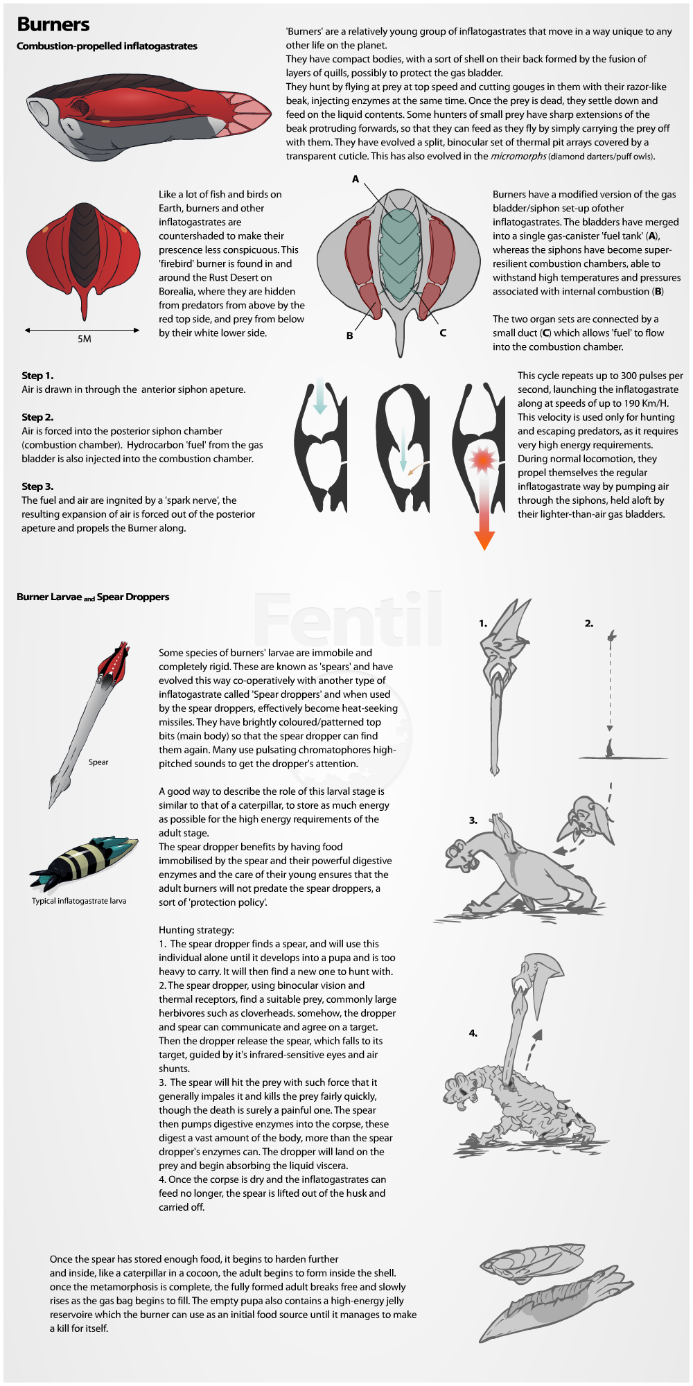 'Burners' fact sheet