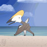 Running beach pterosaur