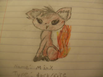 Minx_Fan Pokemon