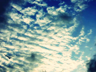 just sky ..