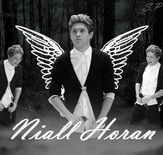 Niall Angel