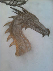 Dragon head