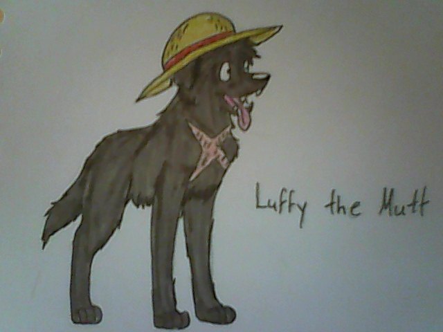 One Piece- Luffy the Mutt