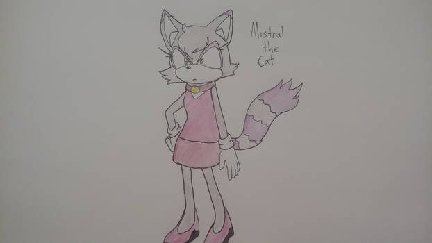Mistral the Cat