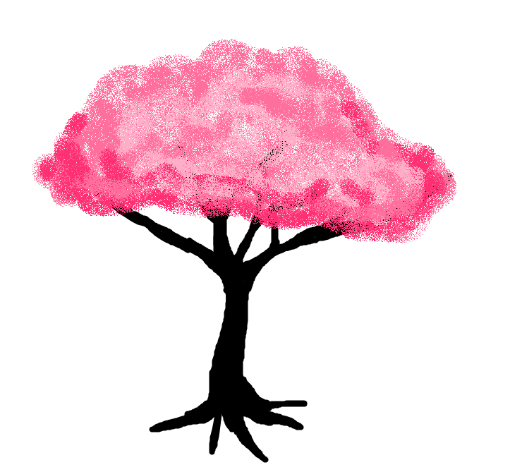 Cherry Blossom Tree