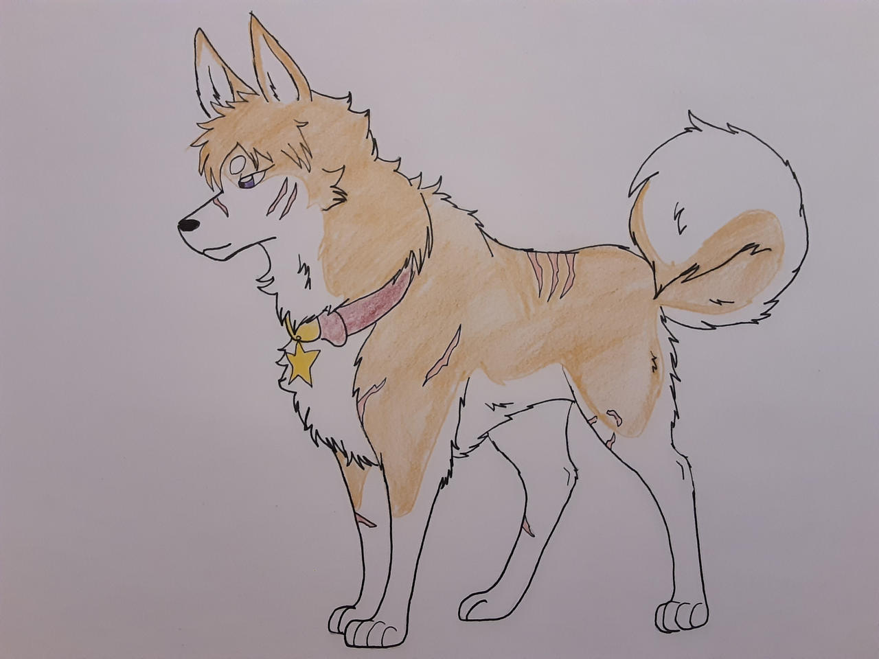 Concept Character Dahlia By Xfangheartx On Deviantart Concept Character Dahlia By Xfangheartx On Deviantart