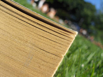 Book in the grass