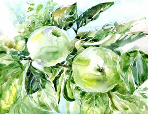Green-apples