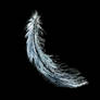 White-feather