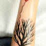 tree tattoo