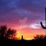 Tucson Sunset  C3131
