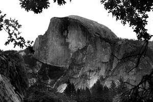Yosemite BW 4013