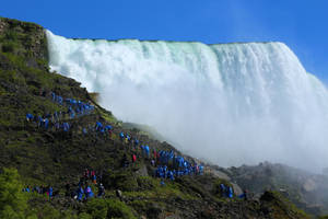 Niagra Falls