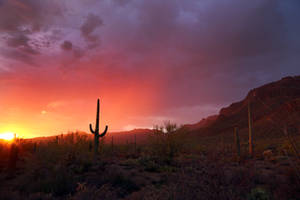 Sunset 0316 by Mammoth-Hunter Sunset 0316 by Mammoth-Hunter