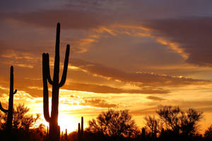 Tucson AZ Sunset