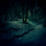 dark forest premade background