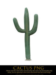 cactus png