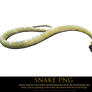 snake png