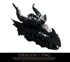 dragon 1 png