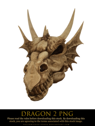 dragon 2 png