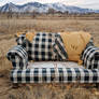 abandoned couch 4
