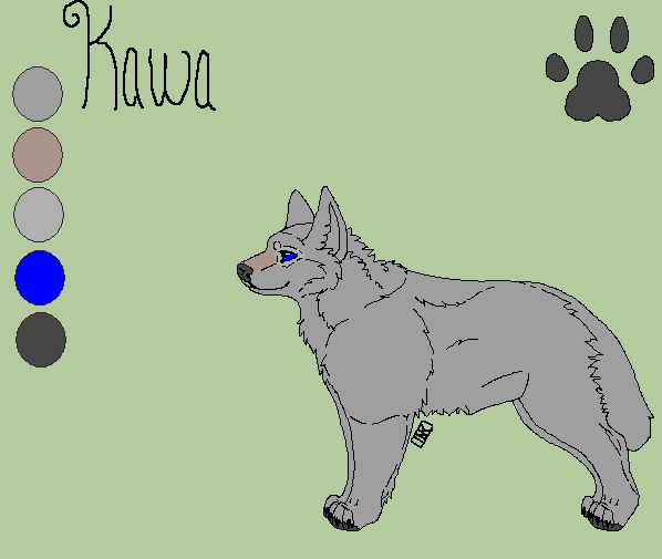 Kawa Ref.