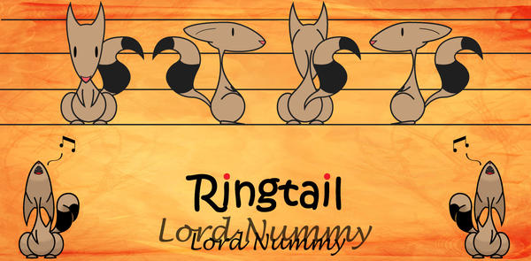 Deviantart Ringtail Ringtail character sheet by LordNummy on DeviantArt