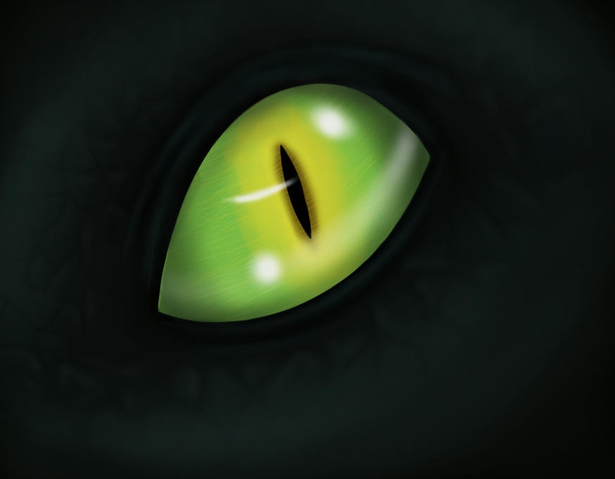 Toothless eye by EliseAliasPlumette on DeviantArt