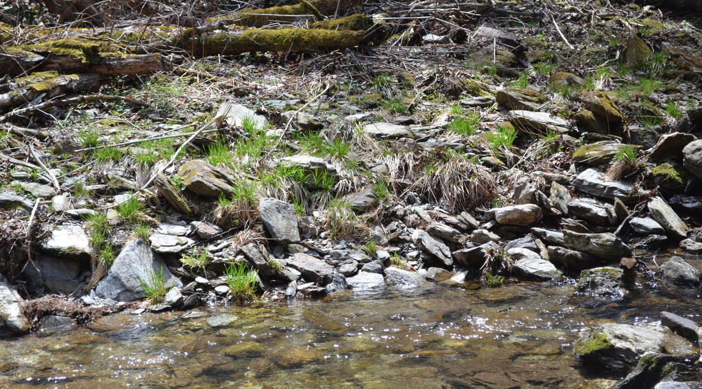 Streamside Rocks Streamside by Siochanna on DeviantArt