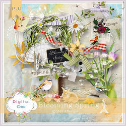 Share res #7: Blooming Spring