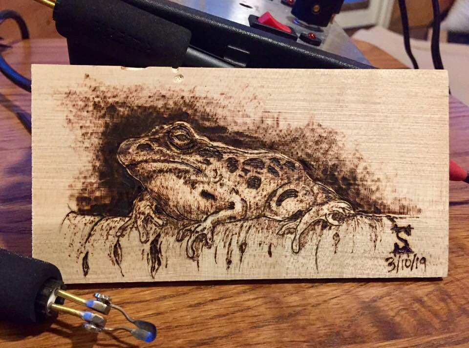 Pyrography Practice 5 - Frog by jamesshirley2011 on DeviantArt