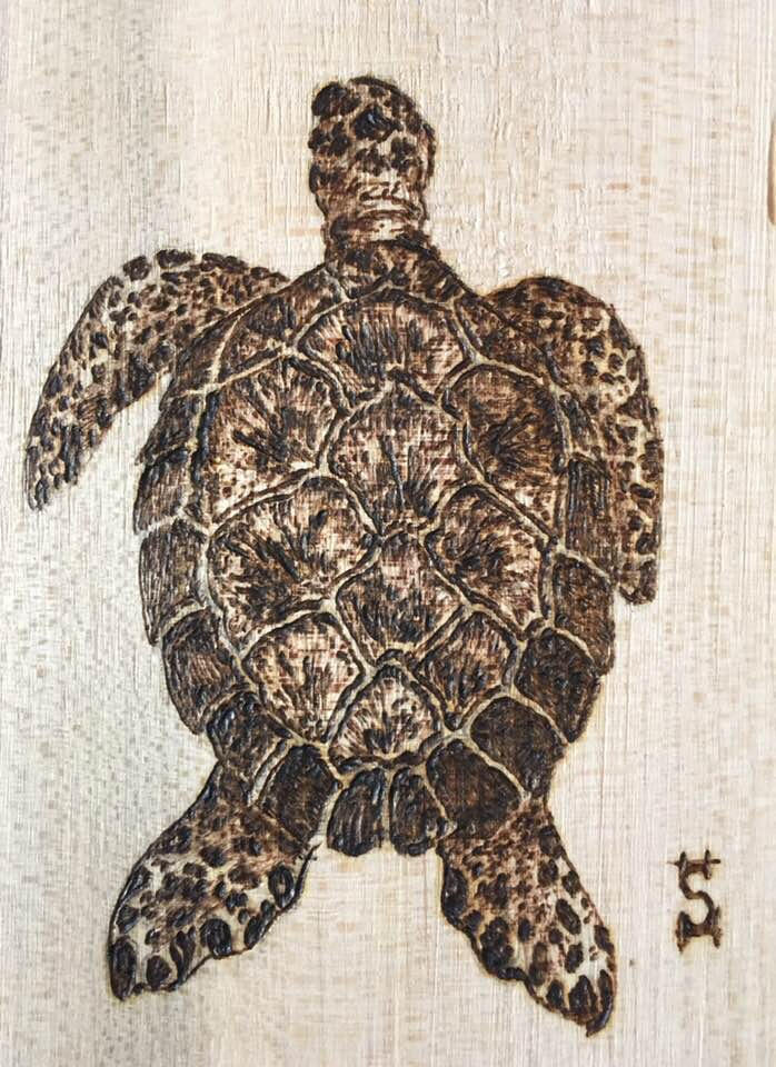 Pyrography Sea Turtle Pyrography Practice 7 - Sea Turtle by jamesshirley2011 on DeviantArt